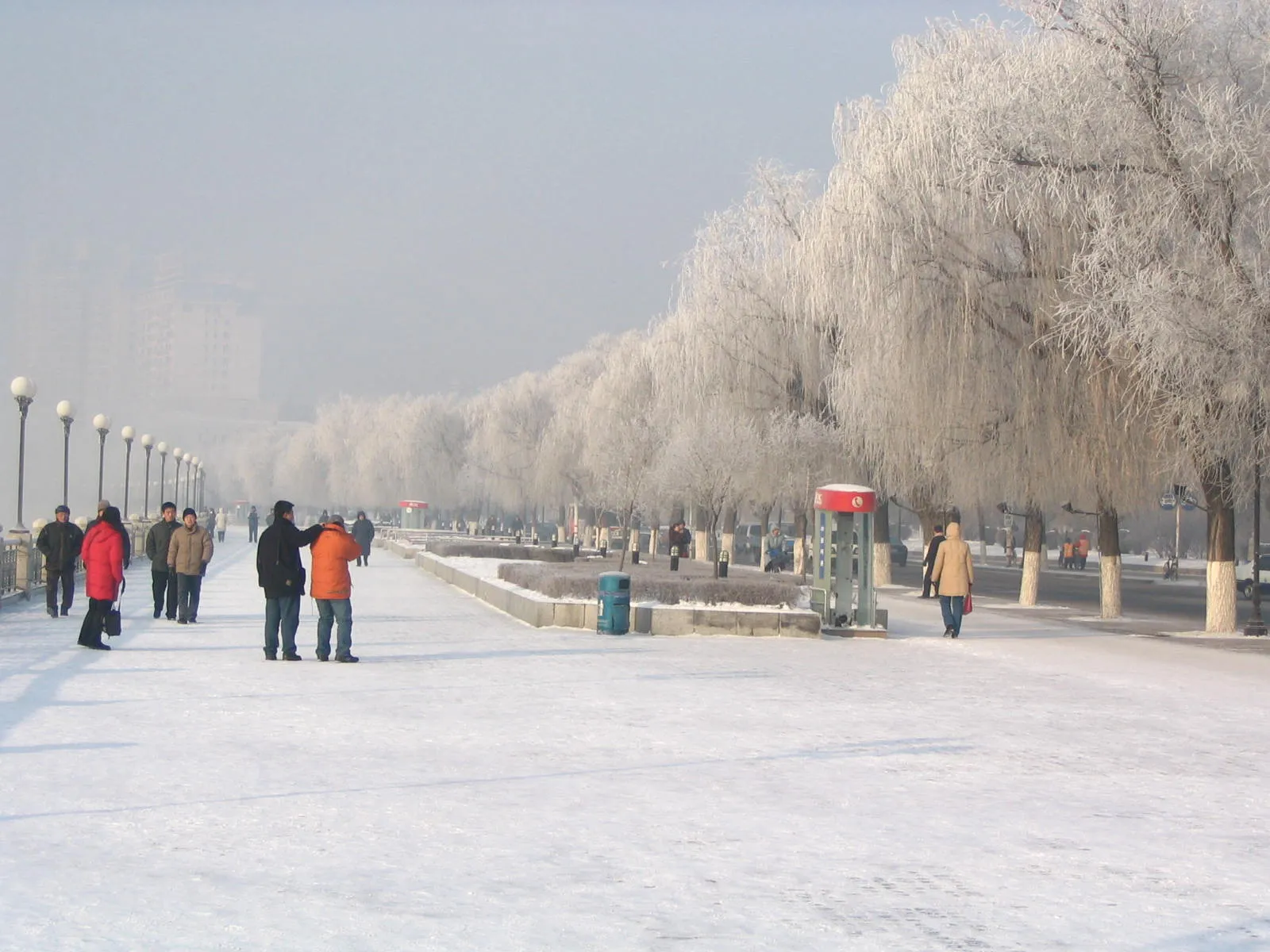 Rime ice coating trees in Jilin